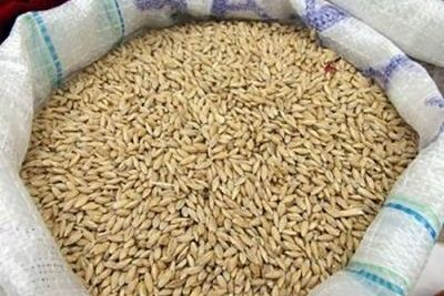Полипропиленовые мешки и биг бэги для пшеницы в Самаре